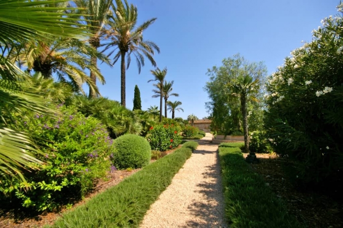 Details des Gartens auf der Finca Cal Reiet - Mallorca - Gartencenter Viveros Pou Nou