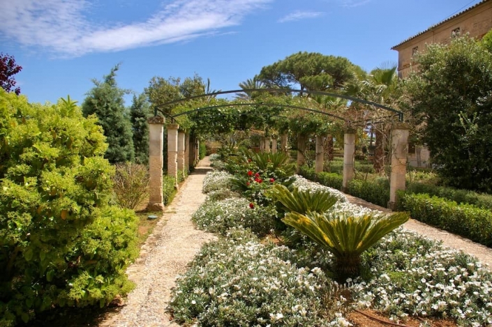 Details of garden in finca Cal Reiet - Mallorca - Garden Center Viveros Pou Nou