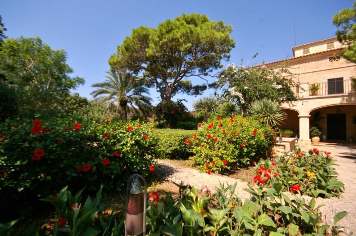 Details of garden in finca Cal Reiet - Mallorca - Garden Center Viveros Pou Nou