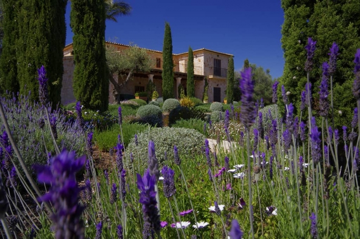 Photos design and construction of garden in Can Brera - Mallorca - Viveros Pou Nou - Landscape architect: Maria Sagreras