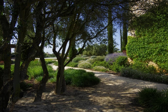 Jardín en Can Brera - Mallorca -Paisajista Viveros Pou Nou