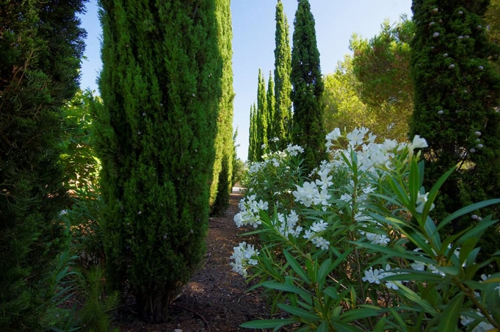 Diseño Jardín en finca Es Turó - Paisajismo en Mallorca