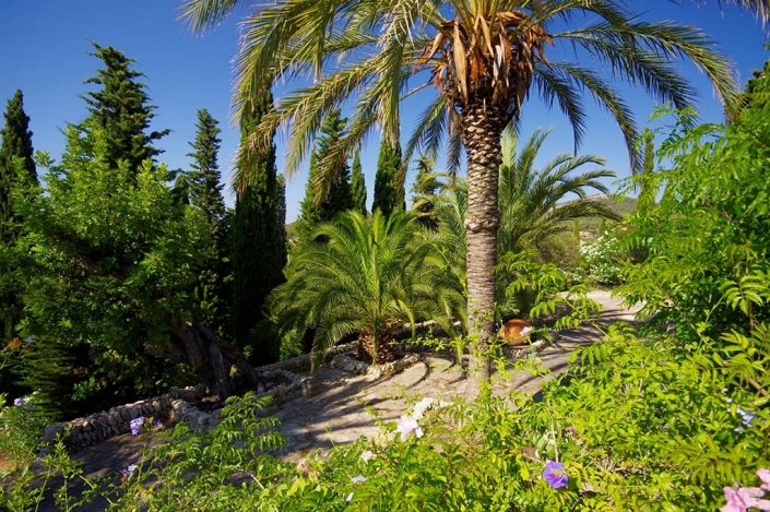 Garten entworfen von Maria Sagreras in der Finca Es Turó - Mallorca - Viveros Pou Nou