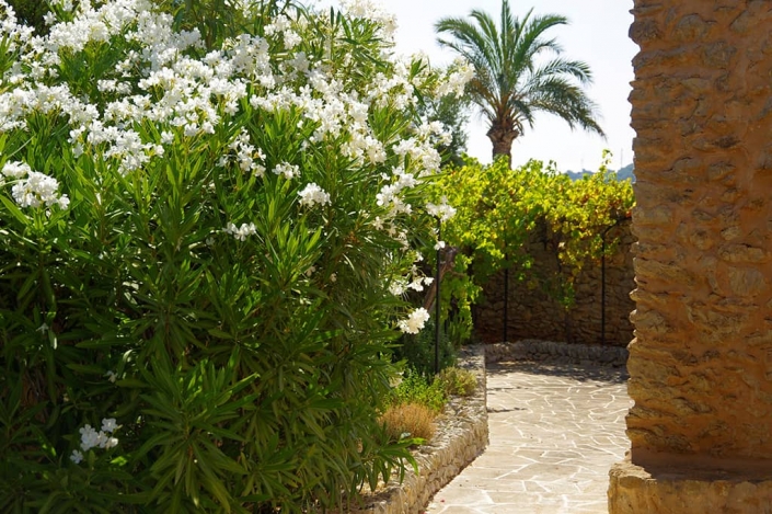 Diseño Jardín en finca Es Turó - Paisajismo en Mallorca