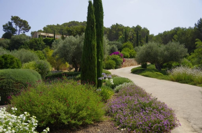 Jardín en Es Carritxó - Paisajismo en Mallorca