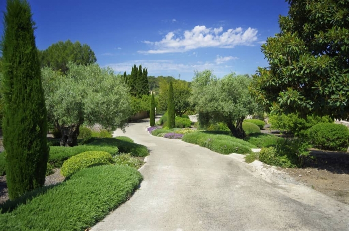 Landscaping project by Garden Center Viveros Pou Nou in Es Carritxó - Mallorca