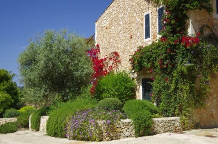 Jardín en Es Carritxó - Diseño de jardines en Mallorca
