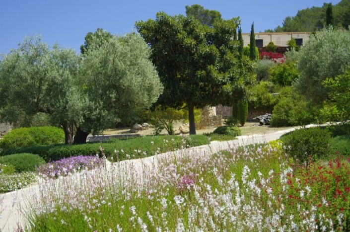 Details of garden in finca Es Carritxó - Mallorca - Garden Center Viveros Pou Nou