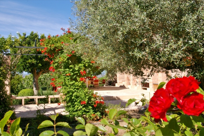 Paisajismo, jardín en finca Consolació - Mallorca - Viveros Pou Nou