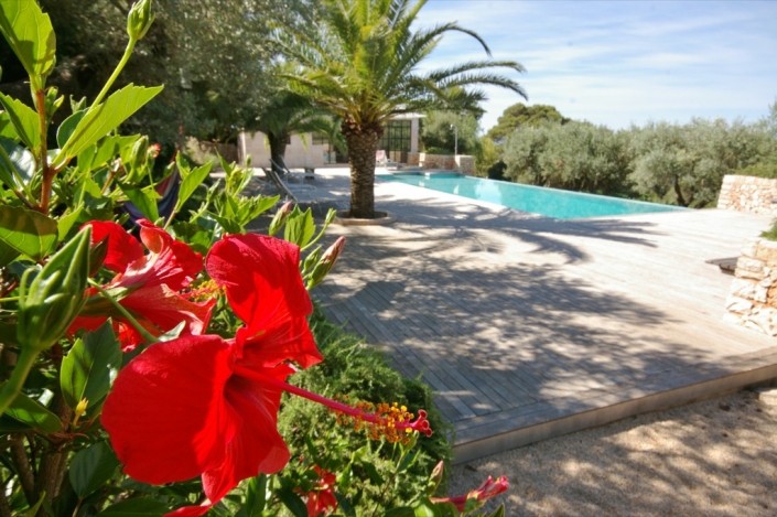 Paisajismo, jardín en finca Consolació - Mallorca - Viveros Pou Nou