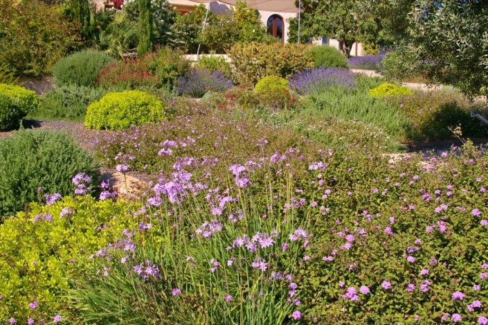 Landscaping project by Garden Center Viveros Pou Nou in Finca Consolació - Mallorca
