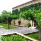 Paisajismo en Mallorca - Finca S’Alqueria - Detalle del jardín diseñado por Viveros Pou Nou