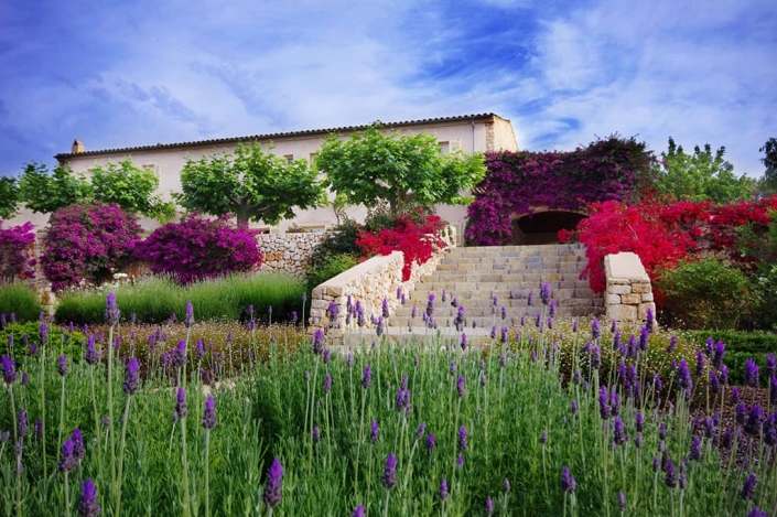 Detalle del Jardín en Finca S’Alqueria - Mallorca - Paisajista: Maria Sagrera - Viveros Pou Nou