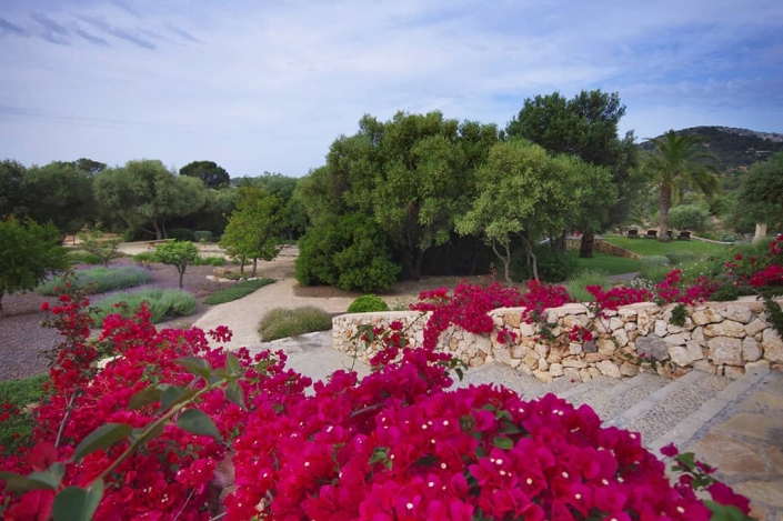 Landscaping project of Maria Sagreras in S'Alqueria - Mallorca - Viveros Pou Nou