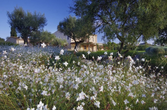 Landschaftsgestaltung auf Mallorca - Son Rierol Gartengestaltung