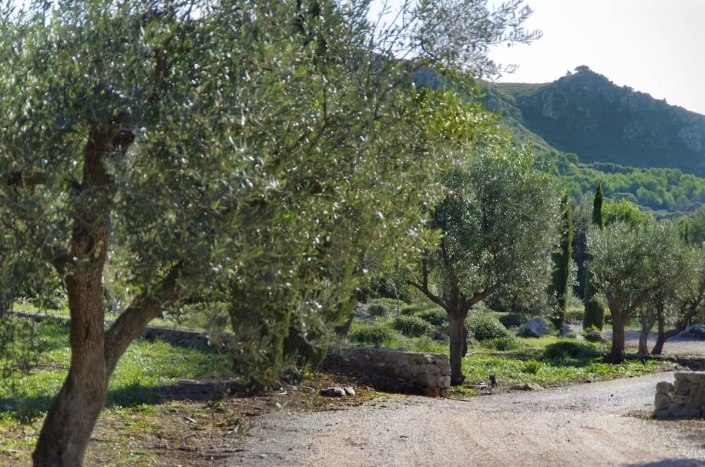 Landscaping In Mallorca - Son Rierol garden design