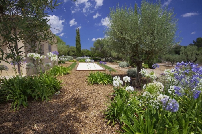 Diseño del jardín en Finca Son Rierol - Paisajismo en Mallorca