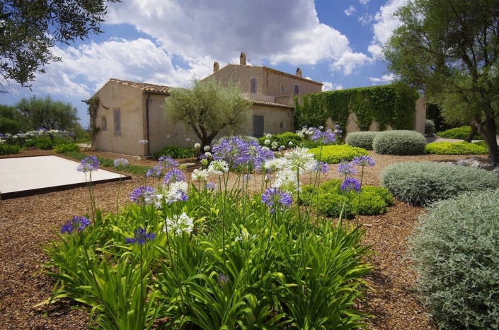 Diseño del jardín en Finca Son Rierol - Paisajismo en Mallorca