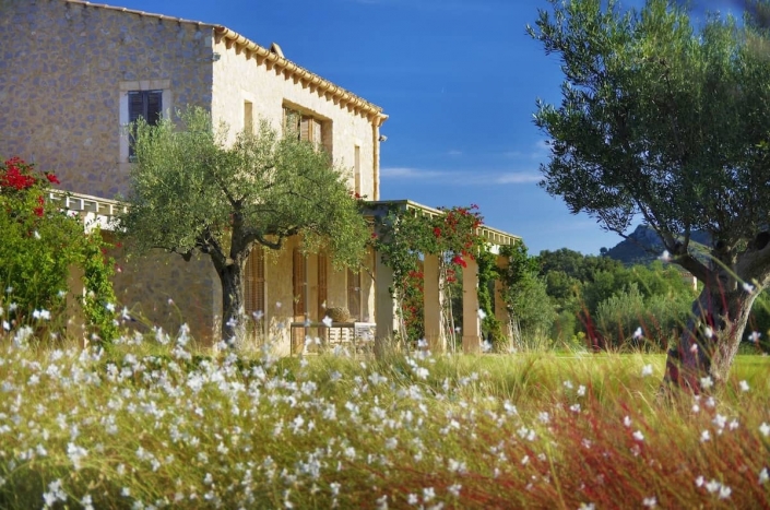 Detalle jardín en Son Rierol - Paisajismo en Mallorca