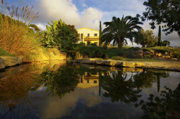 Proyecto paisajismo en Mallorca - Son Ferreret - diseño de jardín