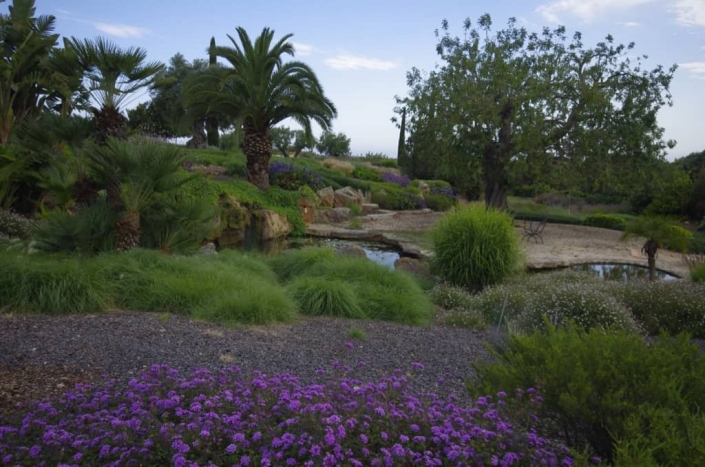 Landscaping project of Maria Sagreras in Son Ferreret - Mallorca - Viveros Pou Nou