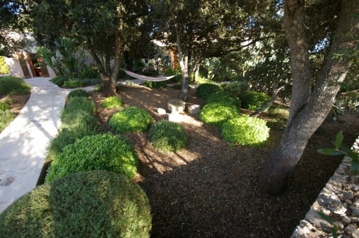 Details of garden in finca Son Font - Mallorca - Garden Center Viveros Pou Nou