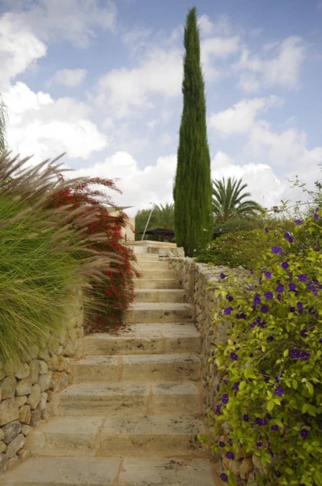 Photos of landscaping project in Son Font - Mallorca - Viveros Pou Nou - Landscape architect: Maria Sagreras