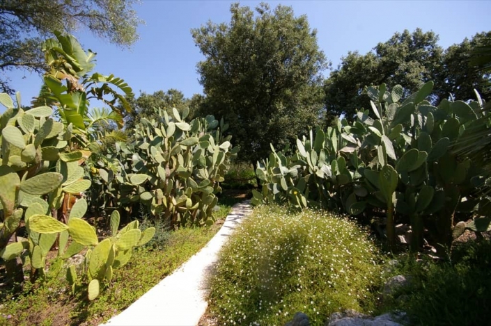 Details des Gartens in der Finca Son Font - Mallorca - Gartencenter Viveros Pou Nou