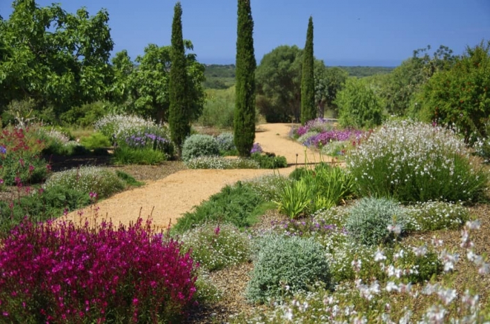 Garden designed by Maria Sagreras in Sta. Marina - Mallorca - Viveros Pou Nou