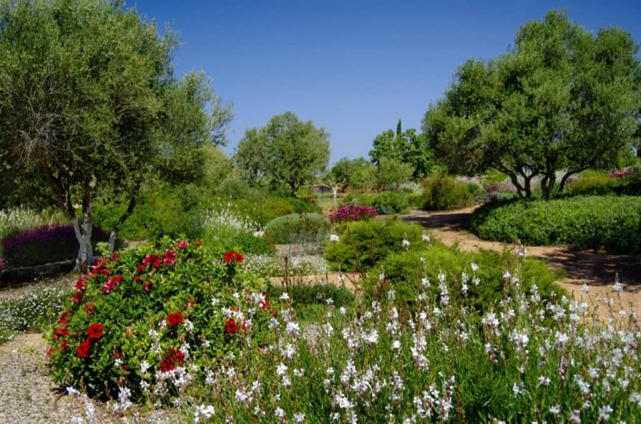Foto de jardines en Mallorca - Finca Sta. Marina