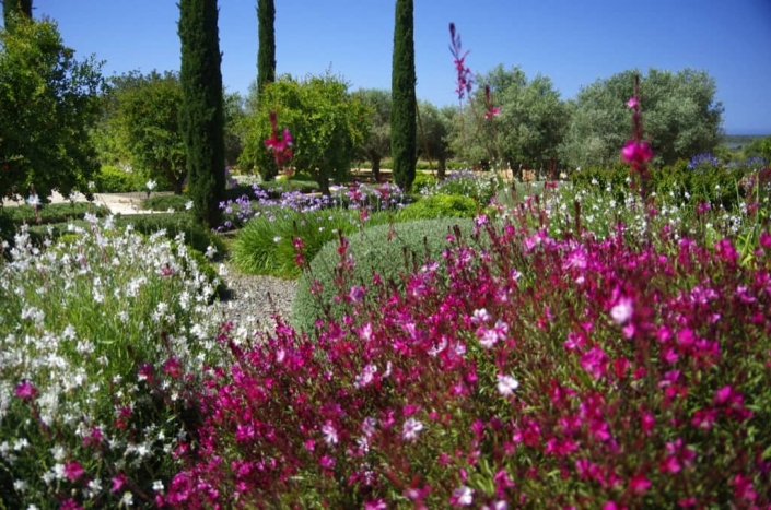 Foto de jardines en Mallorca - Finca Sta. Marina