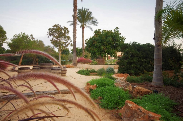 Can Bebo garden designed by Viveros Pou Nou - Landscaping projects In Mallorca