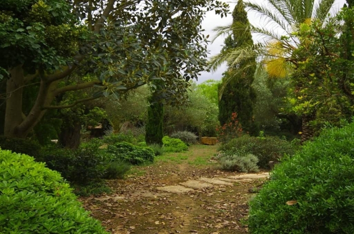 Detalles del jardín de la finca Sa Mesquida, Mallorca - Viveros Pou Nou