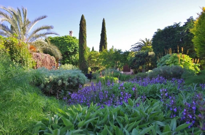 Sa Mesquida Garten von Viveros Pou Nou entworfen - Mallorca