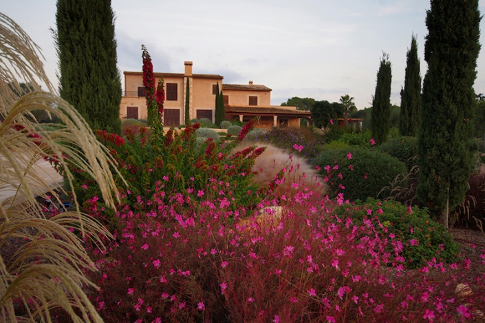 Blumen-und-garten-in-mallorca