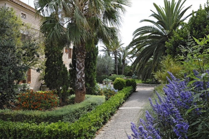 garden design : Maria Sagregras ESP