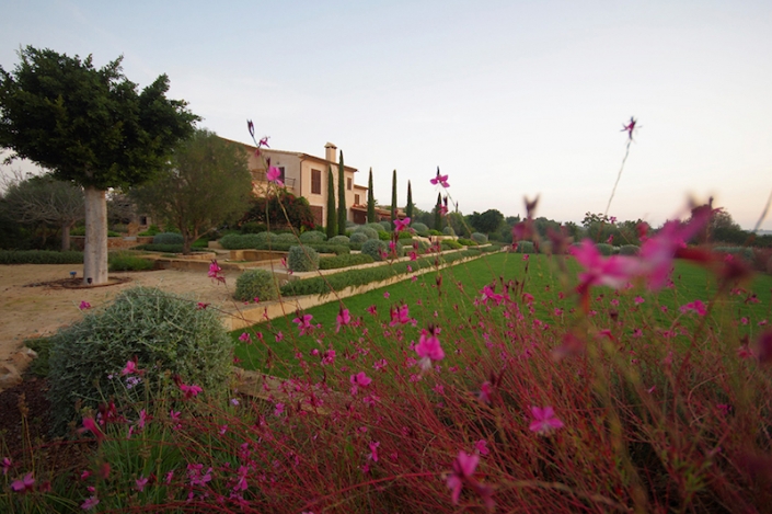 Schaffung-Garten-Landschafts-in-Mallorca